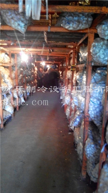 ��������(n��i)��